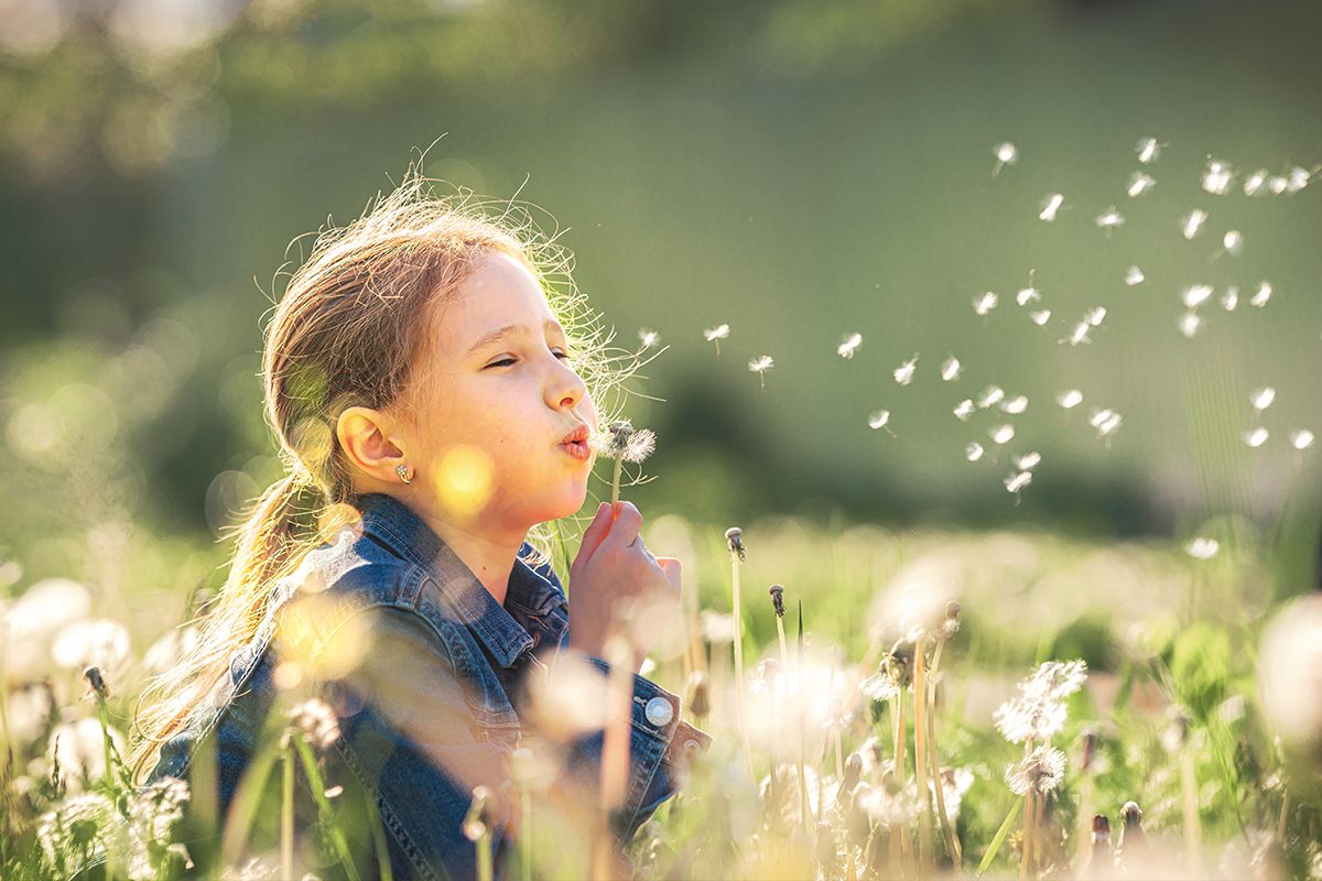 Ein Mädchen bläst Pusteblumen im Sonnenlicht.