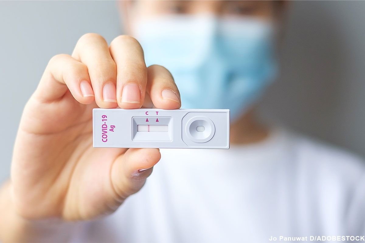 Jeder zeigt ein Schnelltest in die Kamera.