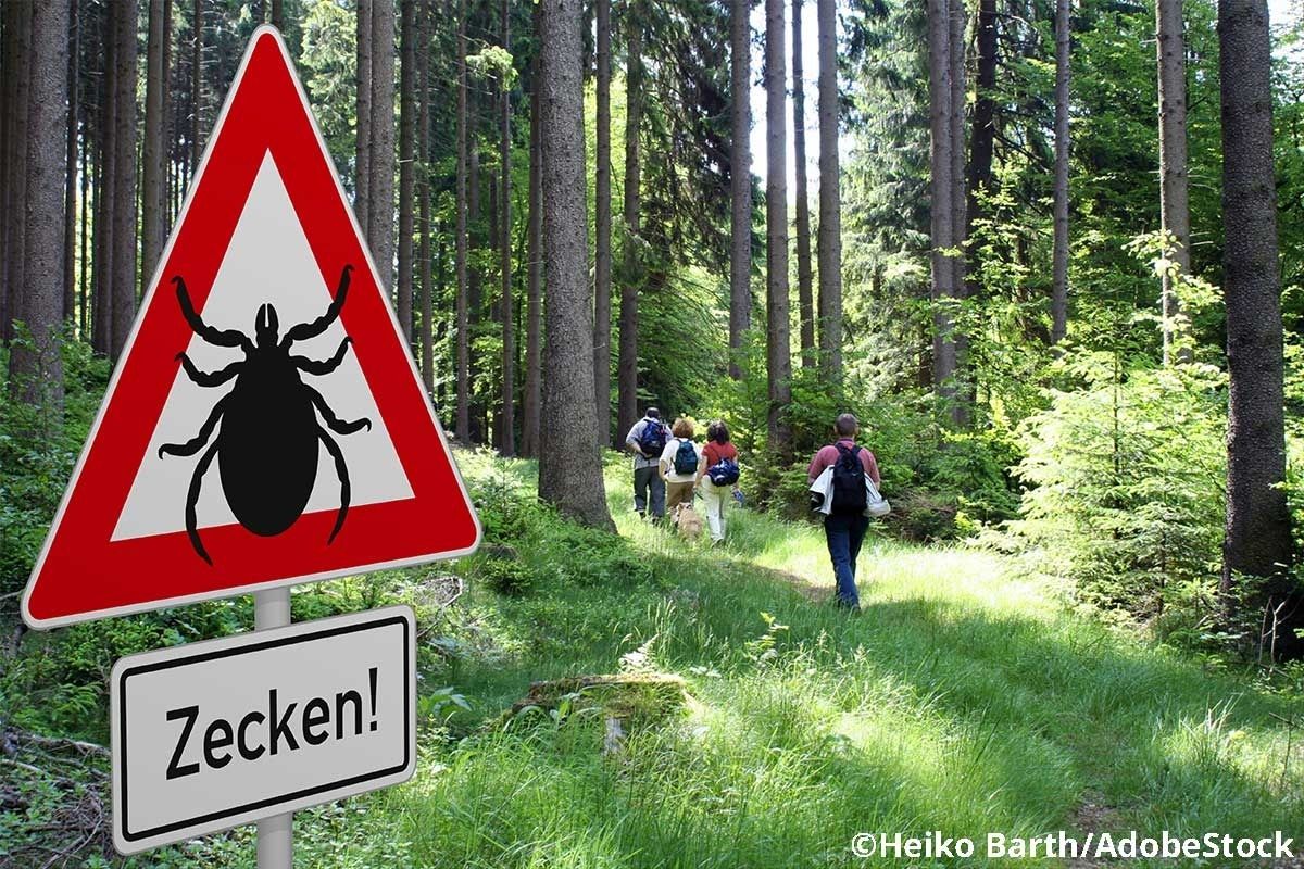Warnhinweis vor Zecken im Wald. Im Hintergrund ist eine Wandergruppe zu sehen.