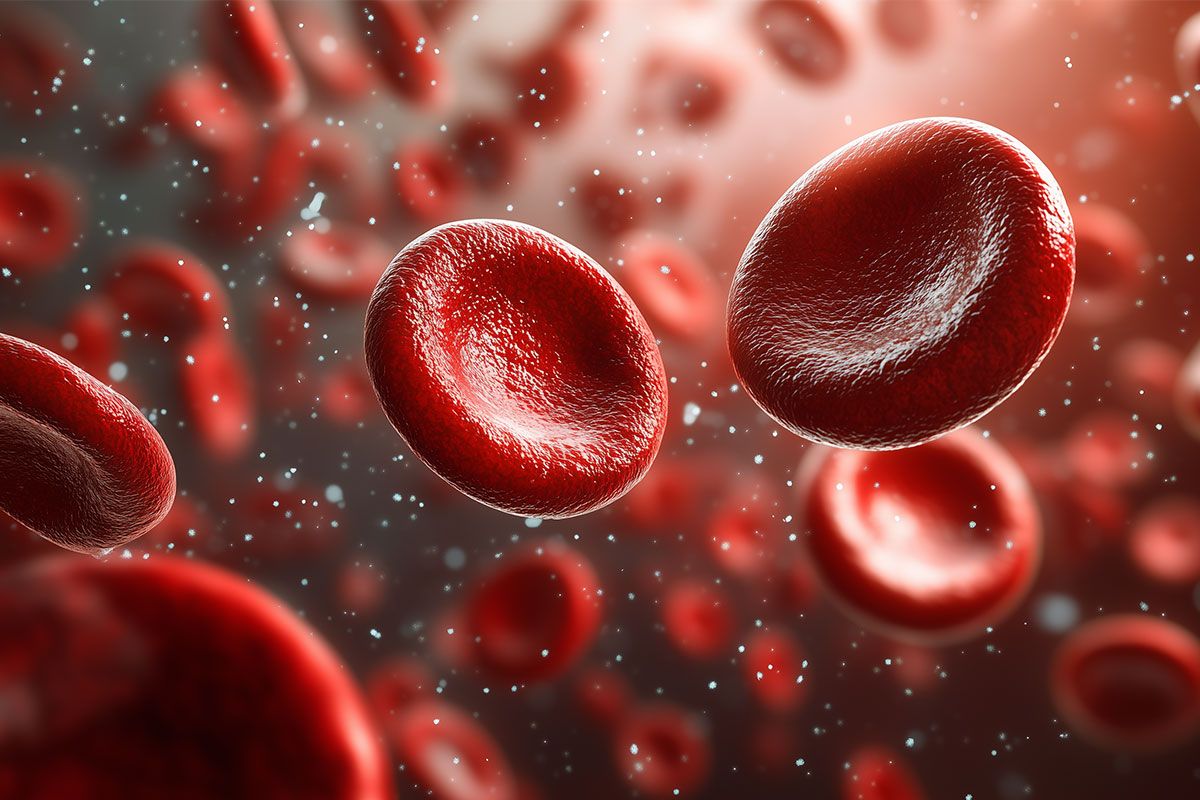 Nahaufnahme von roten Blutkörperchen im Blutstrom